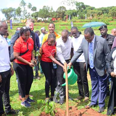 Plant a Million Trees' Campaign (2013) - Greening Kampala